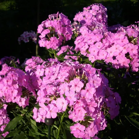 Σπίτι διακοπών Frado *