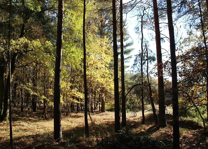 Casa de Férias Frado *